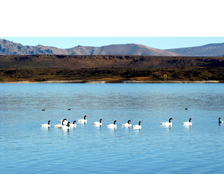 parque nacional laguna blanca